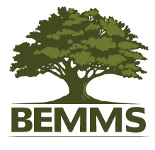 Balman Eswaran Bio Medicine And Materials Science Private Limited