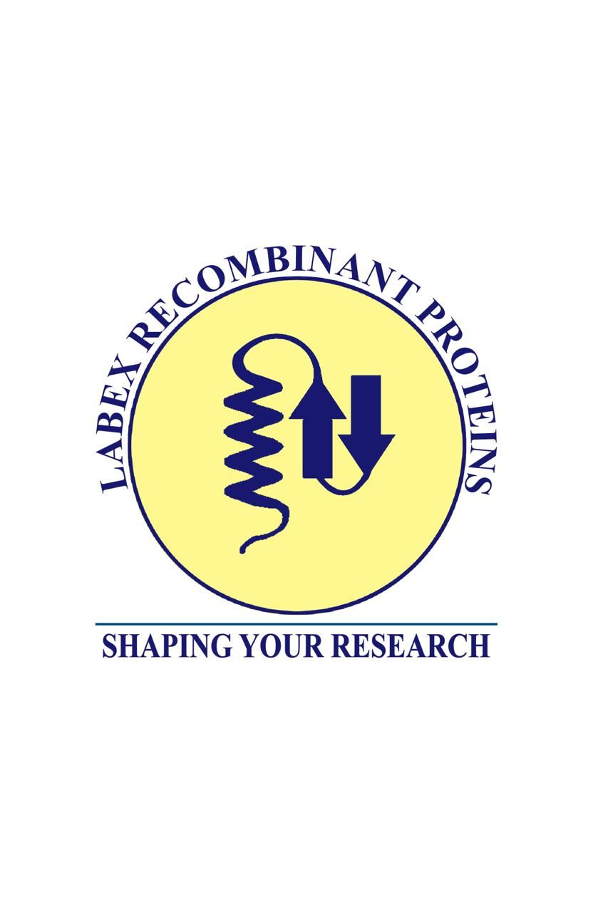 Labex Recombinant Proteins Pvt Ltd